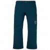 Pantalón Snow Burton [ak] Cyclic GORE TEX 2L DEEP EMERALD
