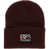 Gorro Never Summer Snowboards Retro